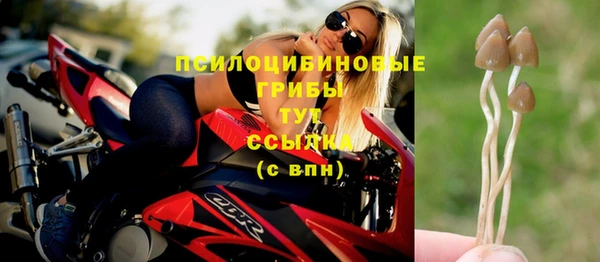 соль курить ск Пересвет