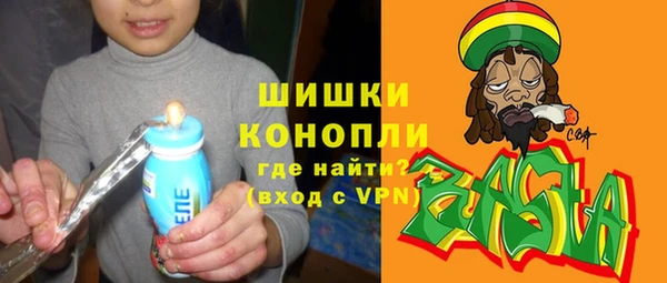 трава Инта