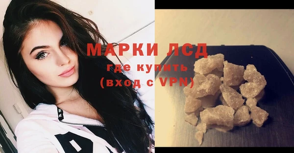 прущие грибы Переславль-Залесский