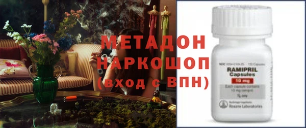 прущие грибы Переславль-Залесский