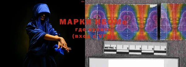прущие грибы Переславль-Залесский