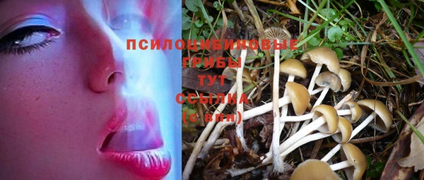 соль курить ск Пересвет